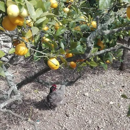 Sa Granja 펜션
