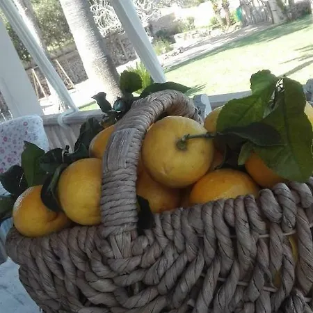 펜션 Sa Granja