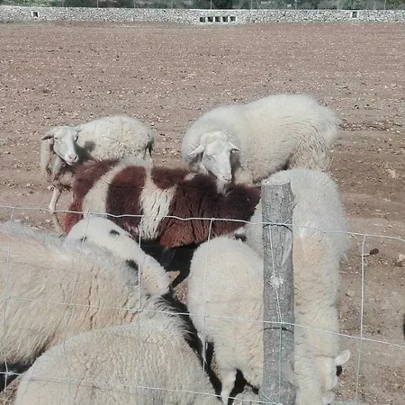 펜션 Sa Granja 아르타