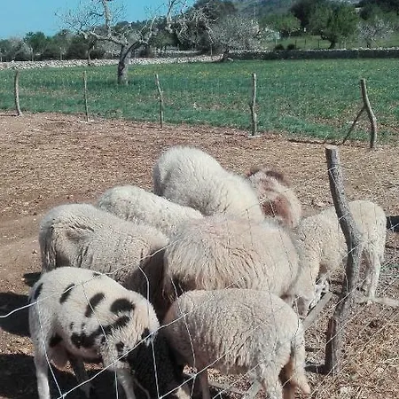 Sa Granja * 아르타
